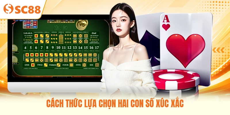Cách thức lựa chọn hai con số xúc xắc