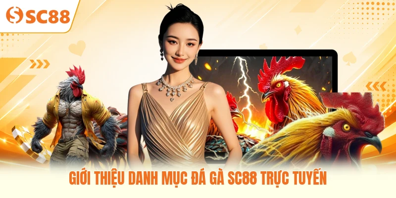 Giới thiệu danh mục đá gà SC88 trực tuyến