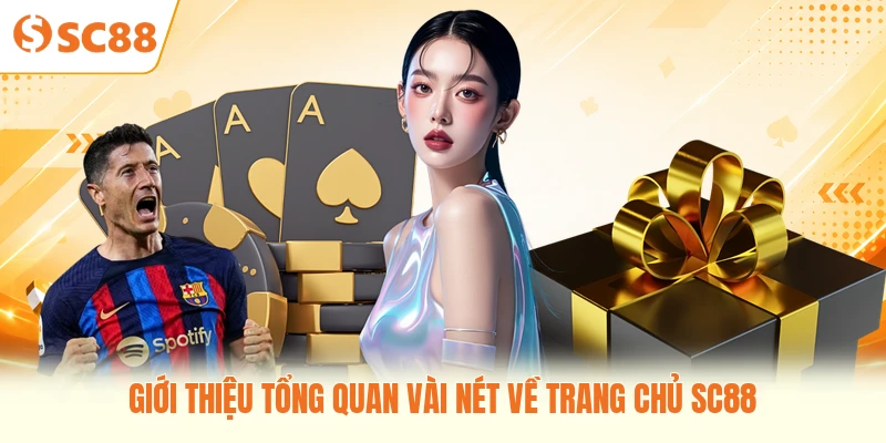 Giới thiệu tổng quan vài nét về SC88